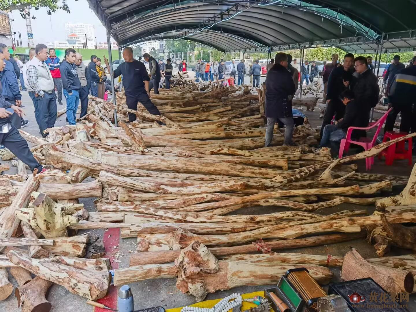 市场上常见的海南黄花梨原木新料